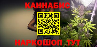 амф Кингисепп