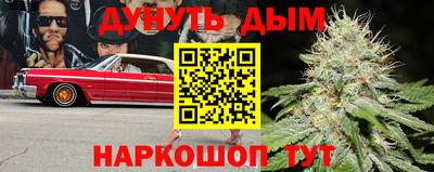 амф Кингисепп