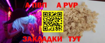 амф Кингисепп