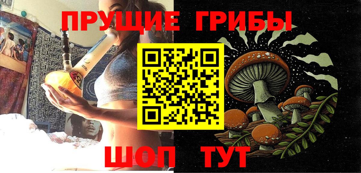 Кировск  Галлюциногенные грибы MAGIC MUSHROOMS  Вход с VPN 
